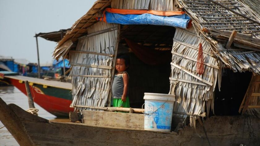 Susan Ernst - Best-selling Author - Books for Kids and Adults