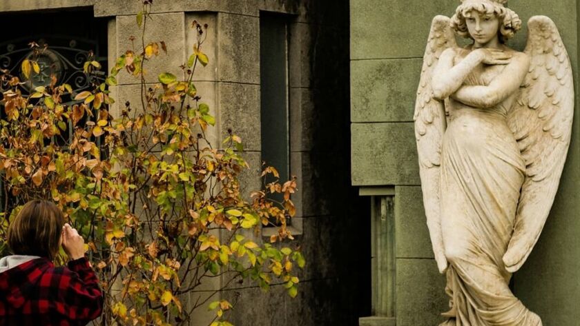 Susan Ernst - Best-selling Author - Books for Kids and Adults