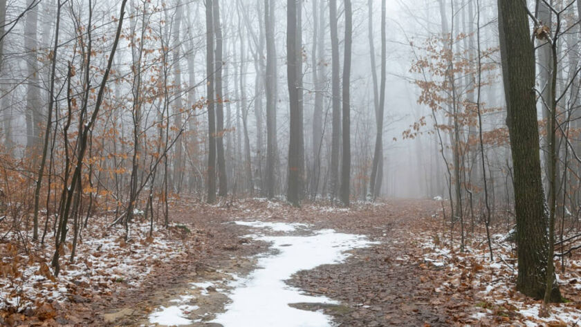 Susan Ernst - Best-selling Author - Books for Kids and Adults