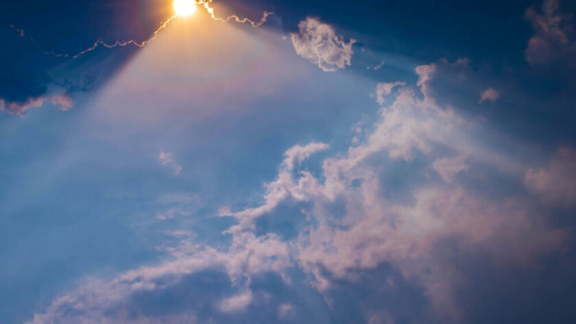 Susan Ernst - Best-selling Author - Books for Kids and Adults